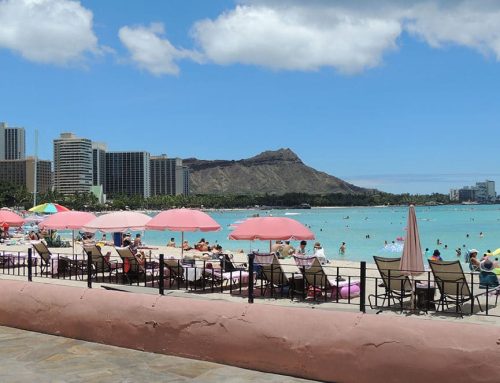 Calling all Summer Travelers