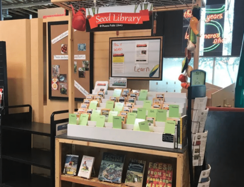 How Seed Libraries Are Growing Community and Gardening Knowledge Across Arizona