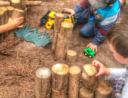 Go Wild! – Build a Nature’s Playground