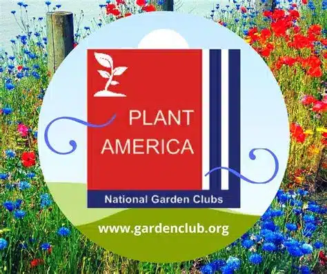 Photo-2--NGC--plant-America