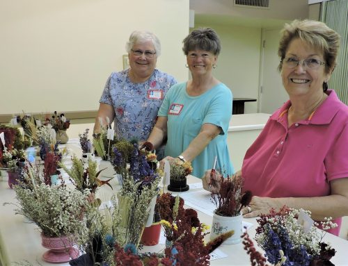 The Perfect Duo – Girl Scouts and Garden Clubs