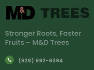M and D Trees in Kingman AZ