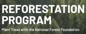 Reforestation Programs