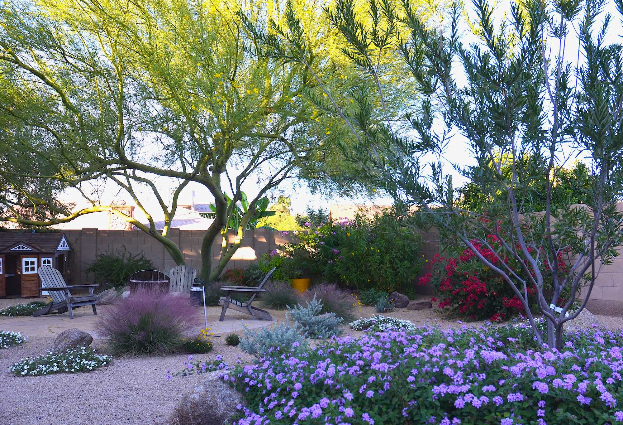 Xeriscaped Backyard