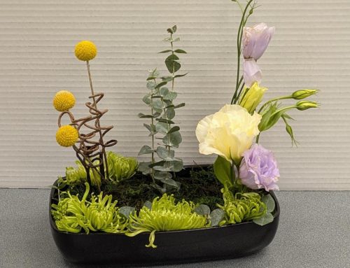 Desert Designers Examine Parallel Creativity at November Meeting