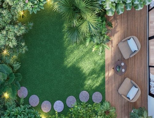 COMING UP IN THE NEW YEAR 2026!