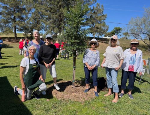 Arbor Day is April 24th
