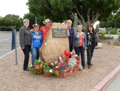 History of NGC Garden Club Projects