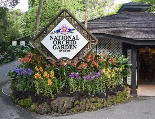 Singapore’s National Orchid Garden