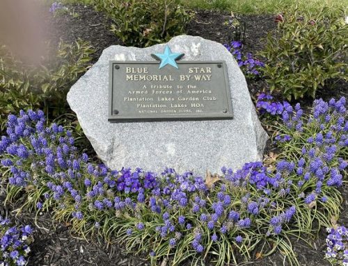 Restoring Colors on a Blue Star Memorial Marker