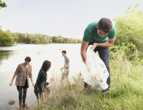 The Great American Cleanup