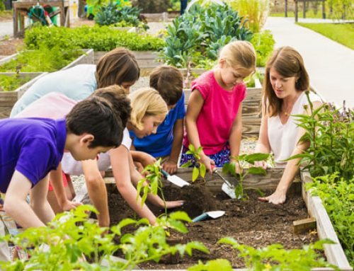 NGC Youth Garden Club Handbook