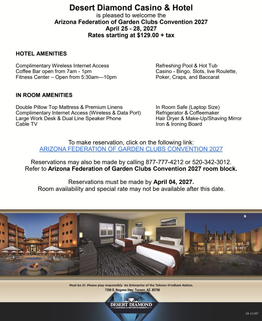 Desert Diamond Casino Hotel flyer