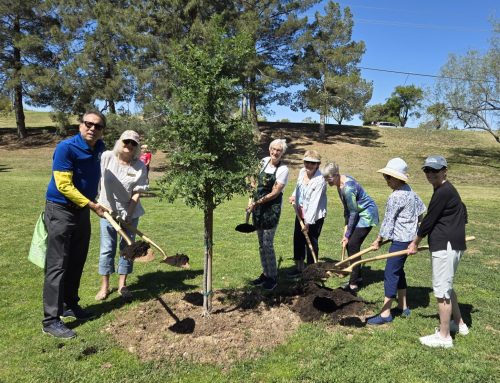 Looking Back – AFGC Greenleaf Blog