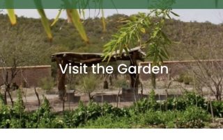 Spanish Mission Garden Visit