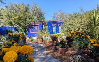 Tucson Botanical Garden