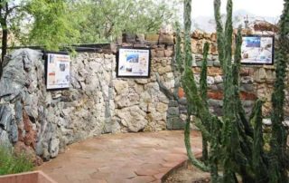 Tohono Chul Geology Wall