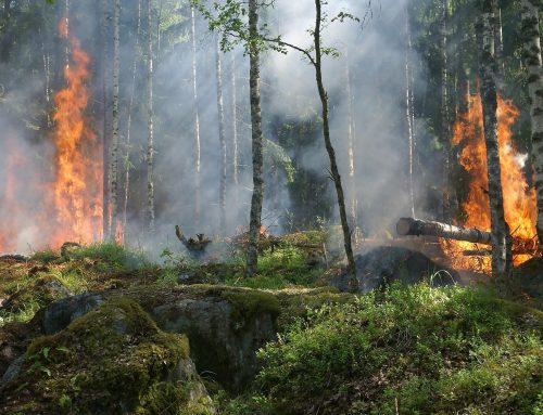 Pacific Region – Firewise Webinars