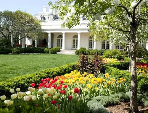 Honoring America’s 250th Birthday – The Rose Garden