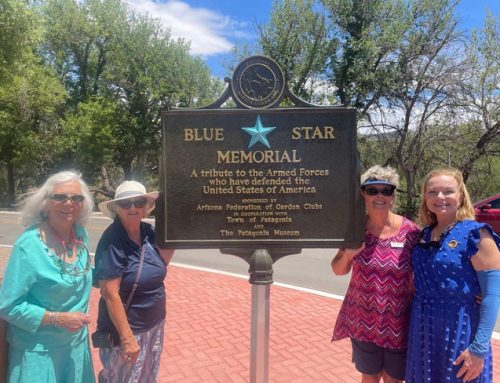 Patagonia Blue Star Marker Dedication