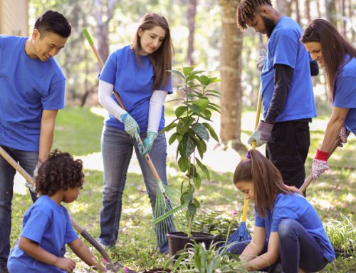 Plant America Grants