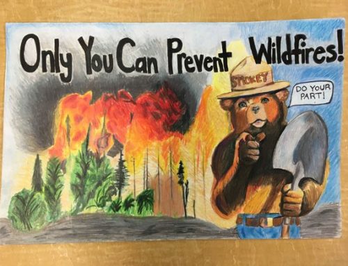 Woodsy Owl – Smokey Bear 2027 Poster Contests