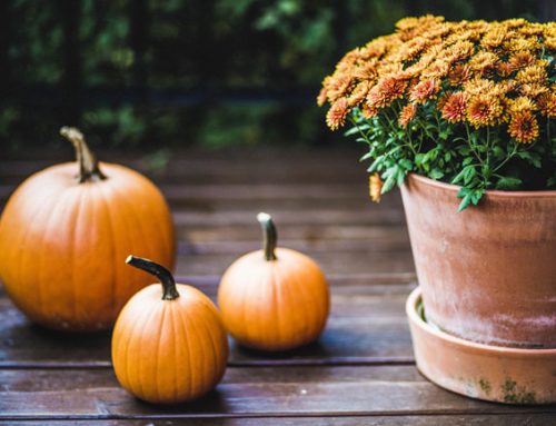 National Garden Clubs Fall Newsletter