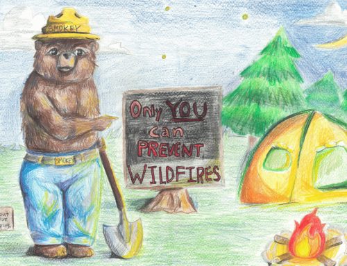Smokey Bear & Woodsy Owl Poster Contests – 2027